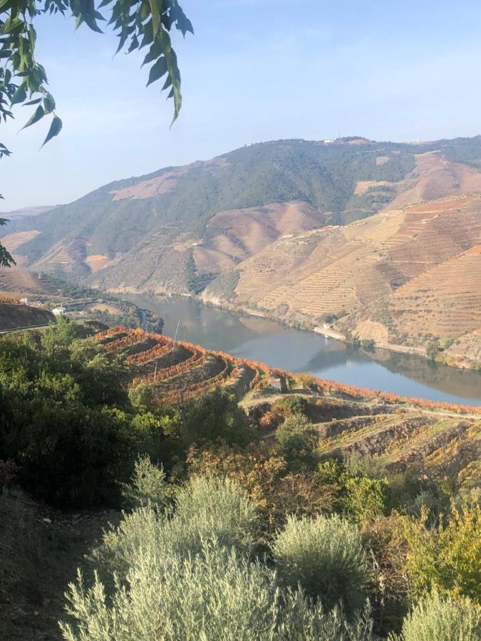 Castas Do Douro Villa Tabuaço Dış mekan fotoğraf